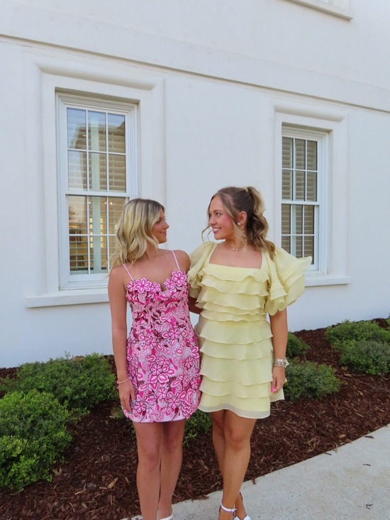 Elliatt roseate mini dress - Picture 2 of 3